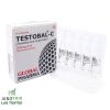 Testosterone Cypionate TESTOBAL-C 250mg 10x1ml Global Pharma - obrazek 2