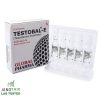 Testosteron Enanthate 250mg 10x1ml Global Pharma - obrazek 2