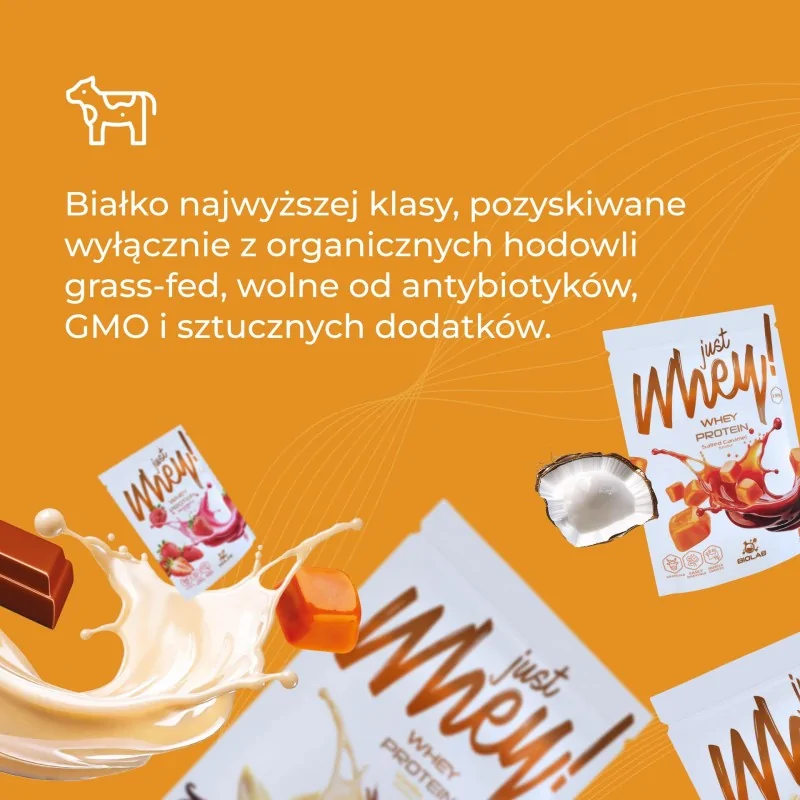 Just Whey! odżywka białkowa WPC premium Nutri Whey™ mix smaków, 10 x 35g - obrazek 4